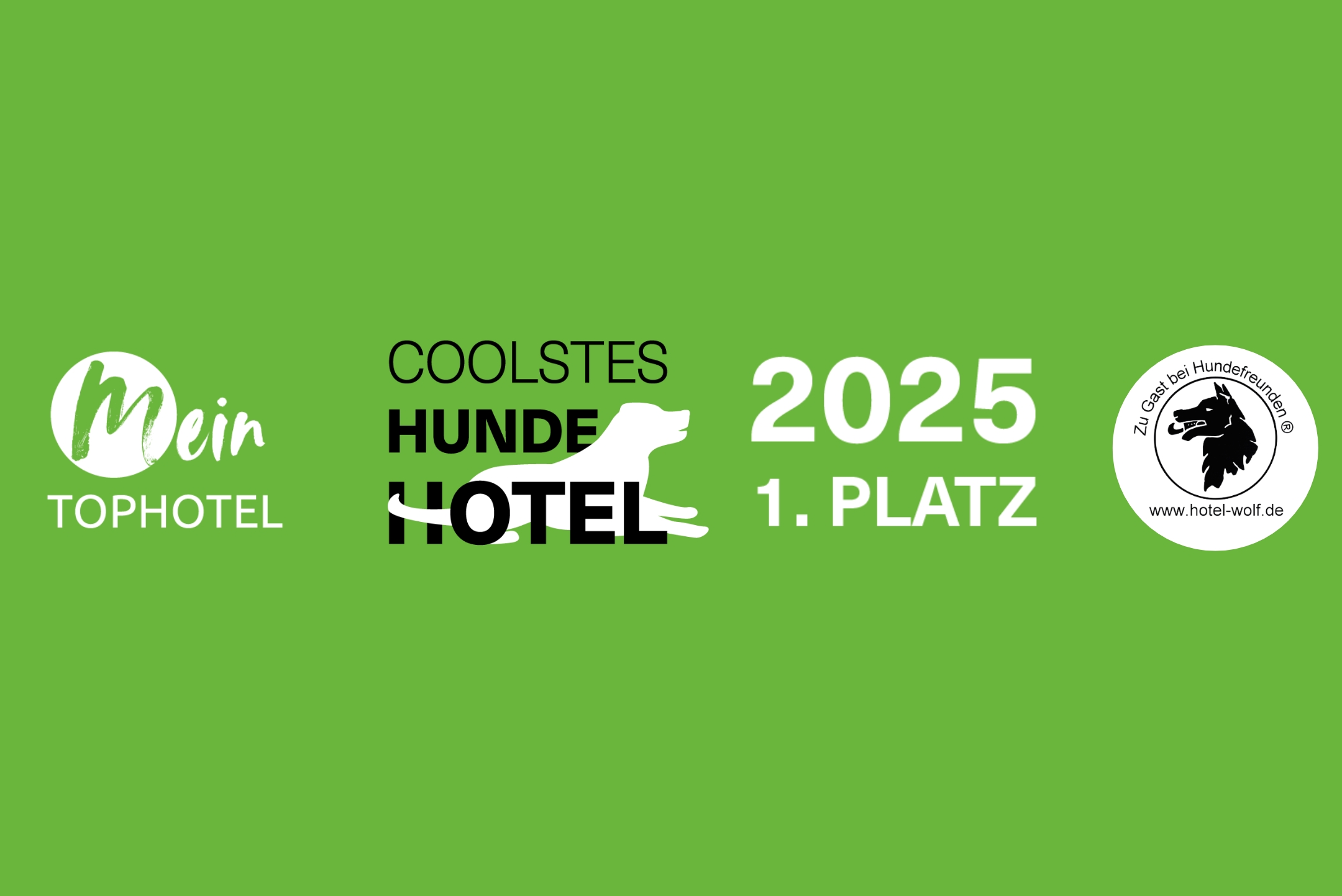 coolste-hundehotel-2025-hundesporthotel-wolf-oberammergau